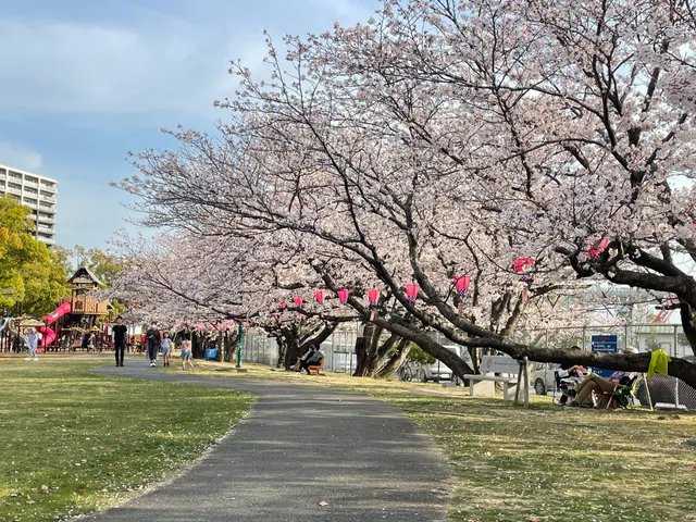 🏞️ 니미츠 파크(Nimitz Park) 이미지 4